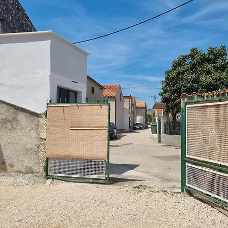 Back To The Future זאדאר